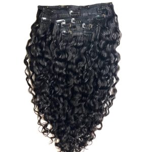 Clip Ins